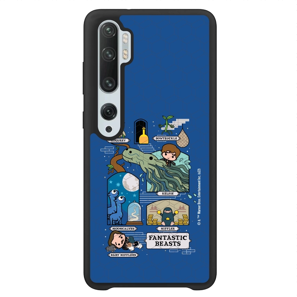 Fantastic Beasts adventures...