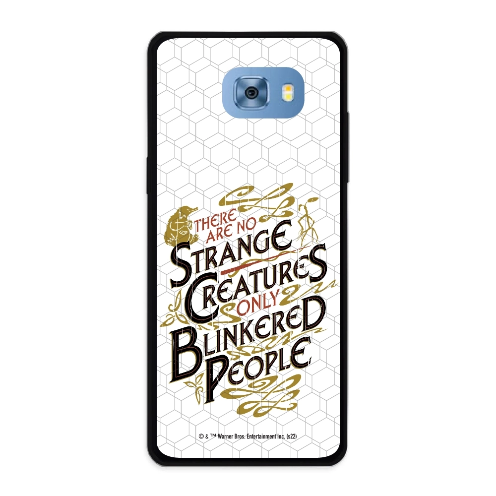 Fantastic Beasts There are...