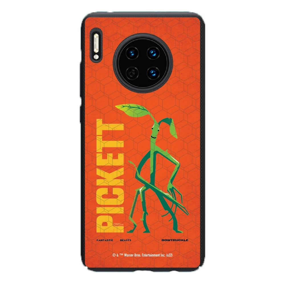 Fantastic Beasts Pickett...