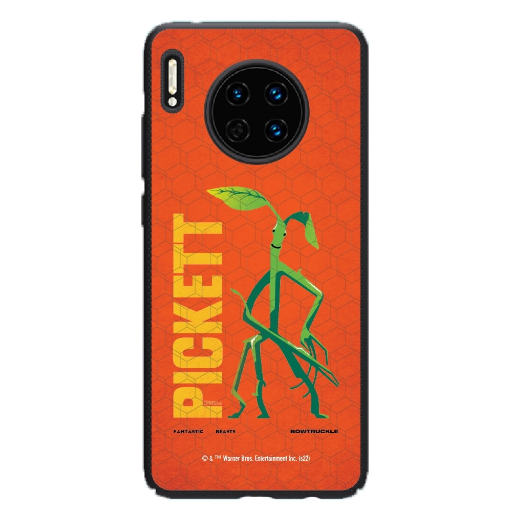 Fantastic Beasts Pickett...