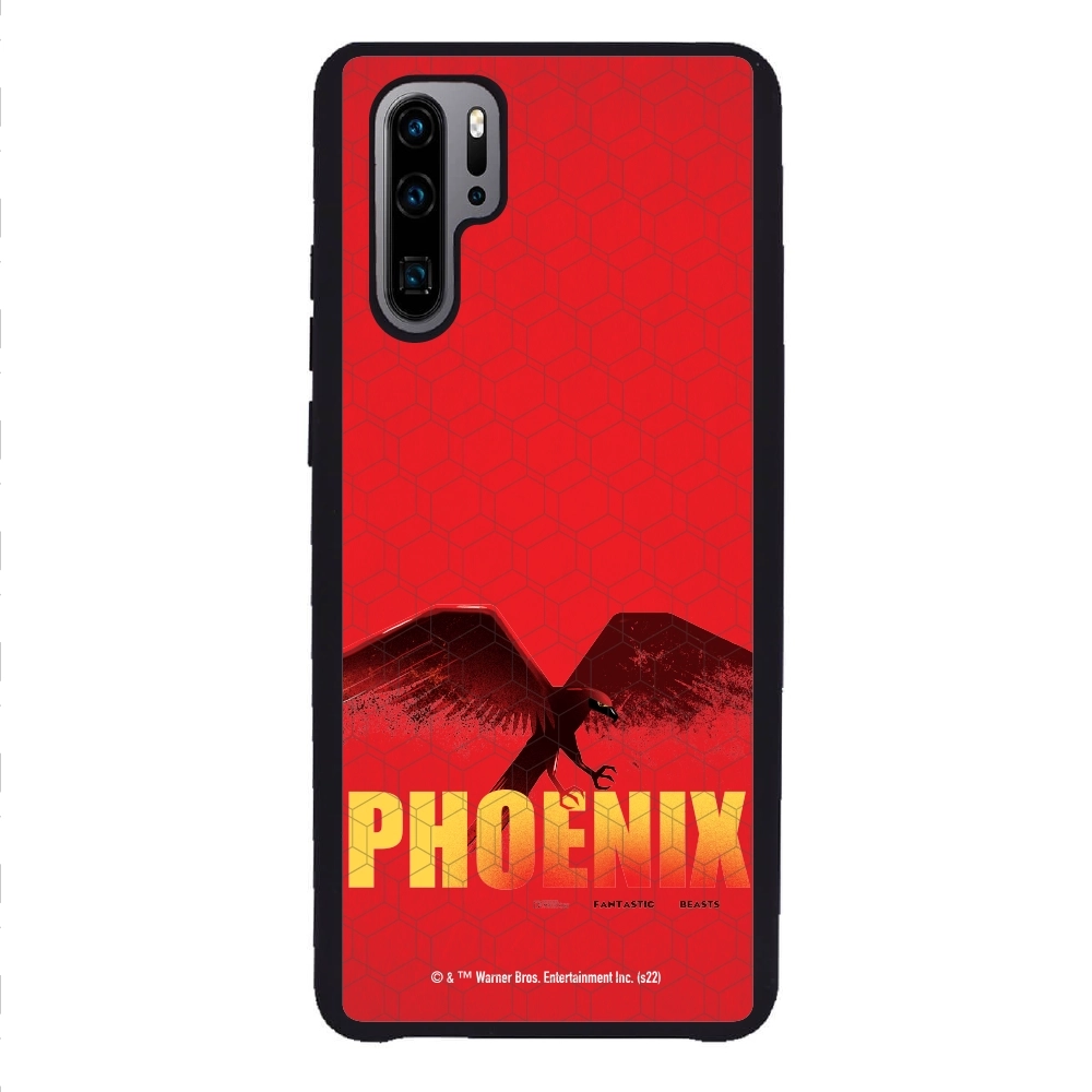 Fantastic Beasts Phoenix...