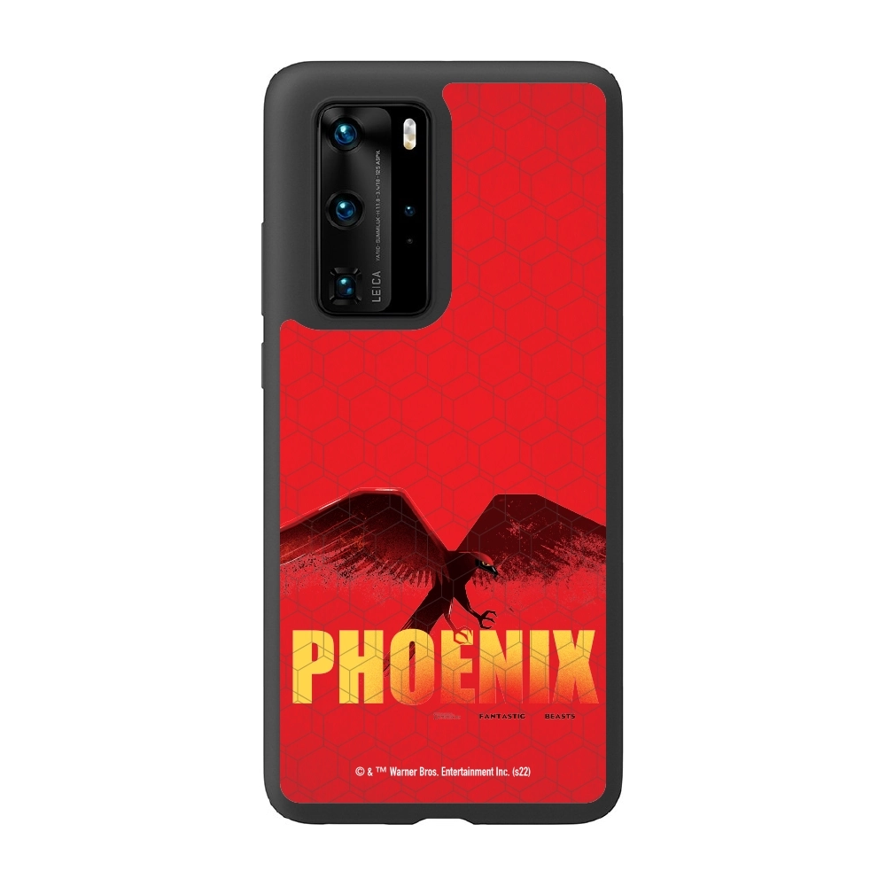 Fantastic Beasts Phoenix...
