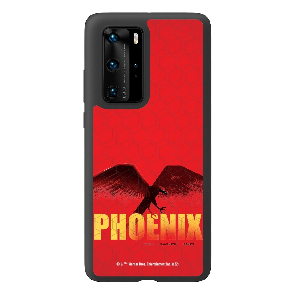 Fantastic Beasts Phoenix...