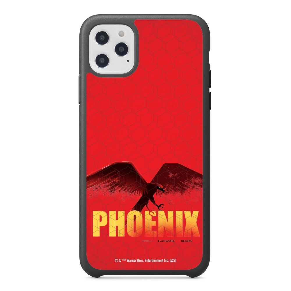 Fantastic Beasts Phoenix...