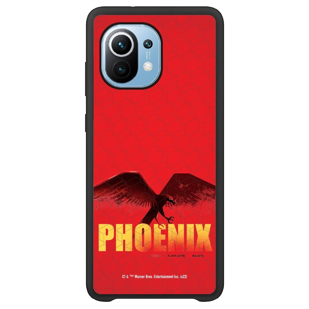 Fantastic Beasts Phoenix...