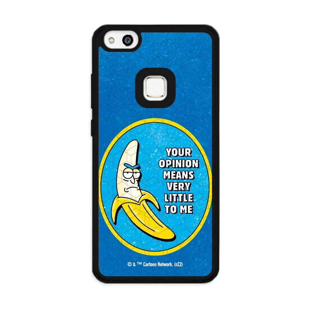 Rick and Morty your opinion...