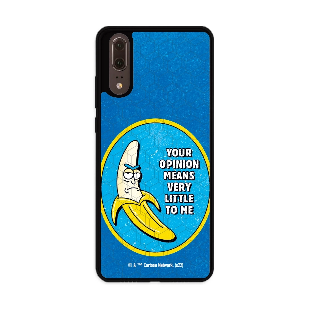 Rick and Morty your opinion...