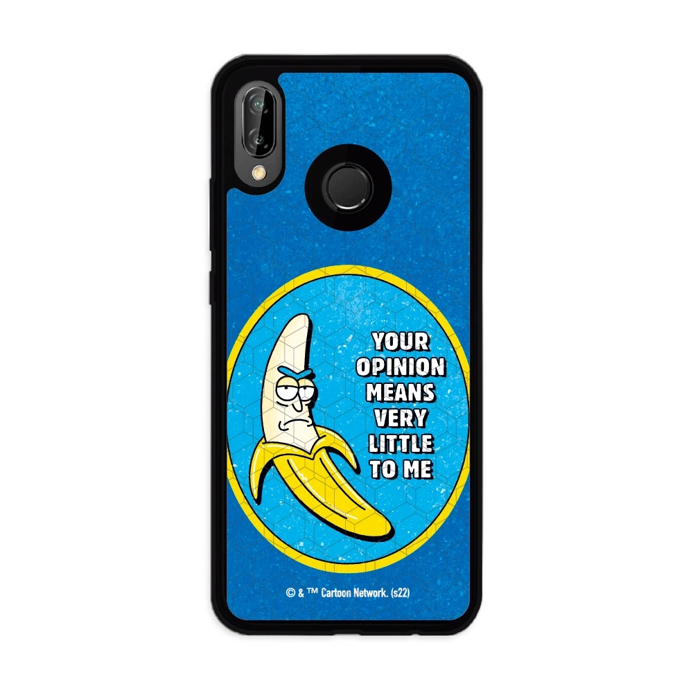 Rick and Morty your opinion...