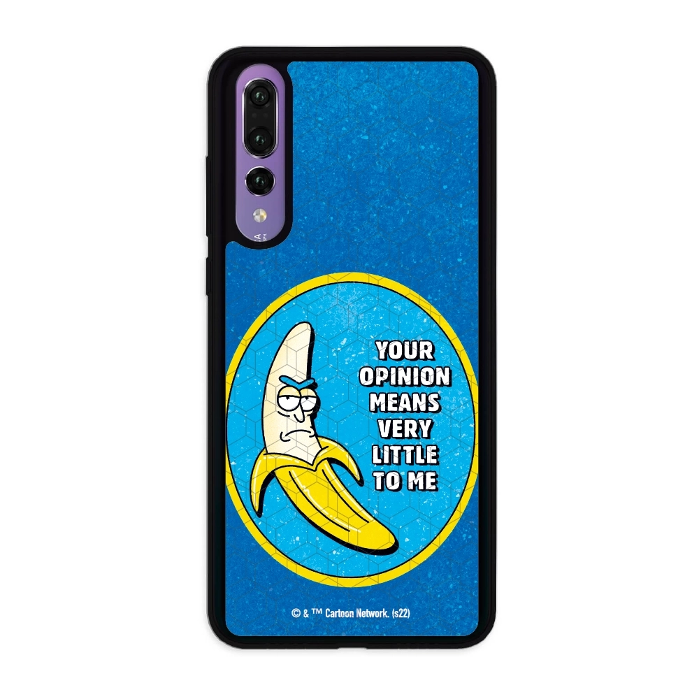 Rick and Morty your opinion...