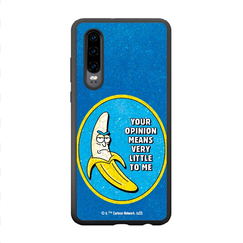 Rick and Morty your opinion...