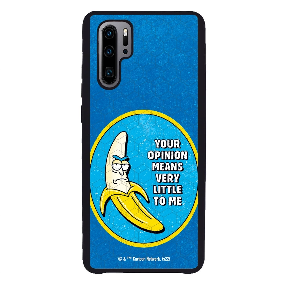 Rick and Morty your opinion...