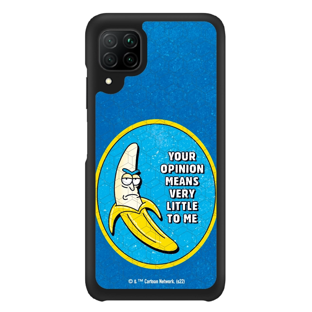 Rick and Morty your opinion...