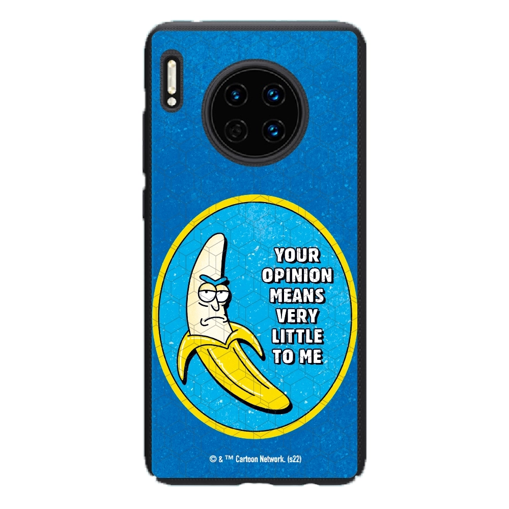 Rick and Morty your opinion...