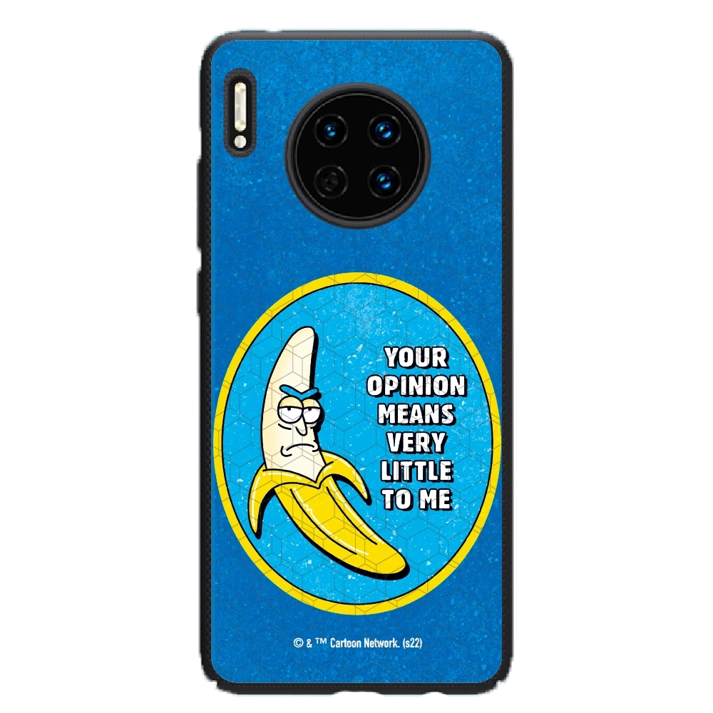 Rick and Morty your opinion...