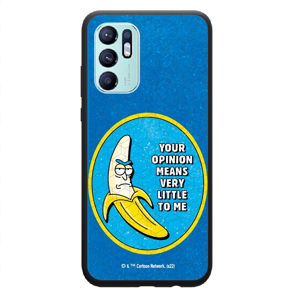 Rick and Morty your opinion...