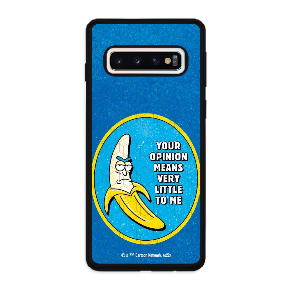 Rick and Morty your opinion...