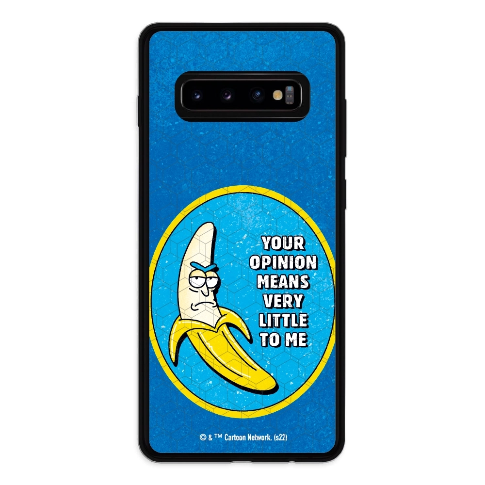 Rick and Morty your opinion...