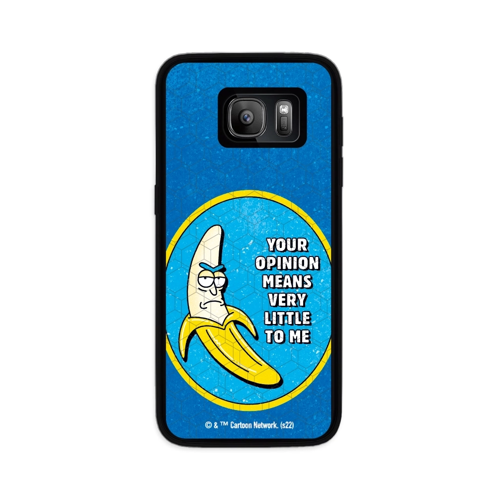 Rick and Morty your opinion...