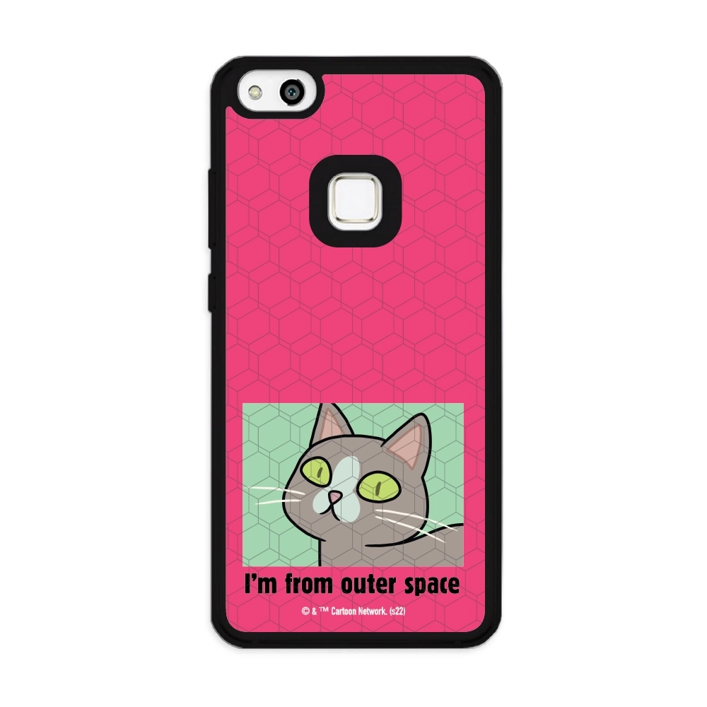 Rick and Morty I'm from...