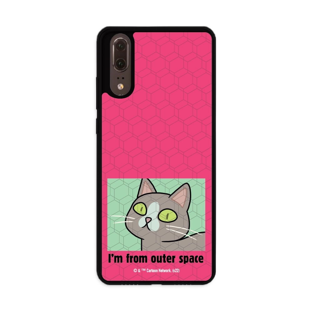 Rick and Morty I'm from...