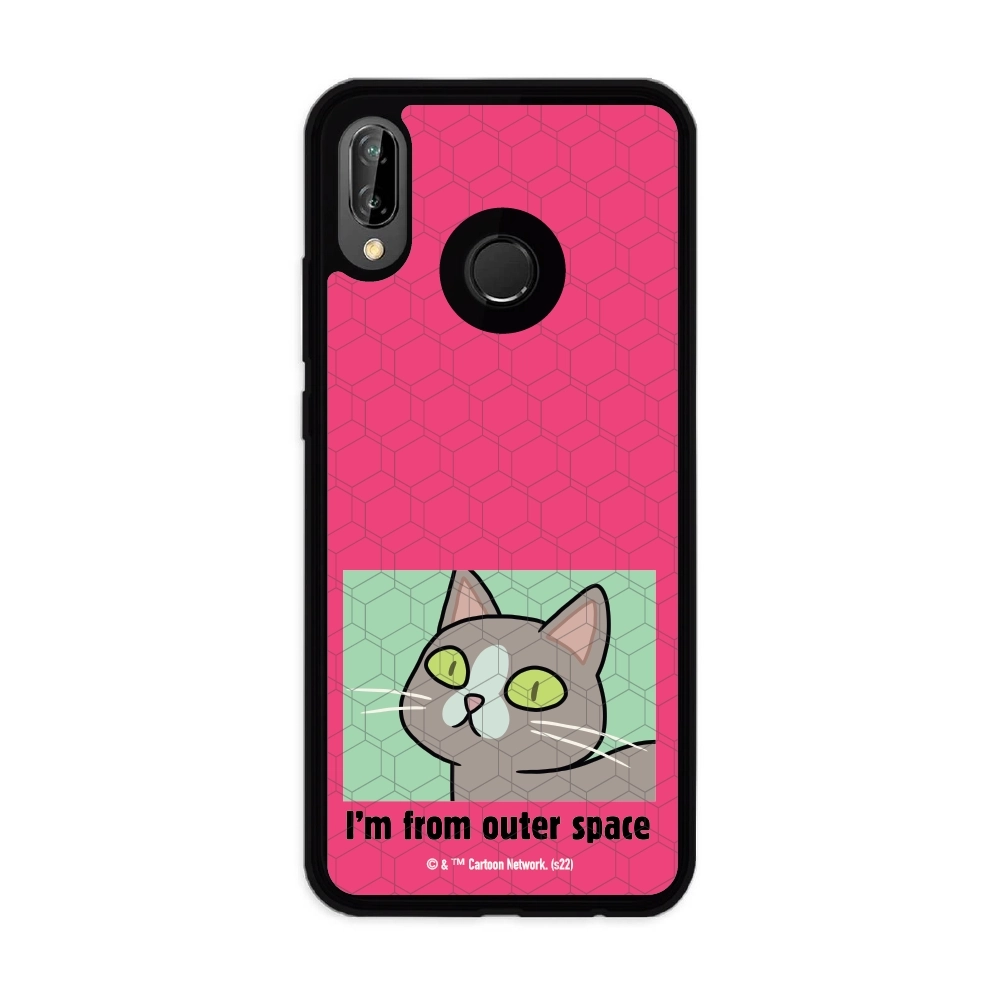 Rick and Morty I'm from...