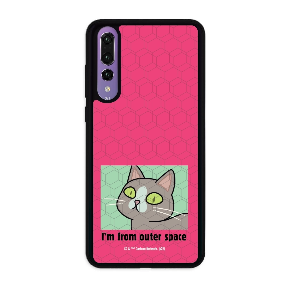 Rick and Morty I'm from...