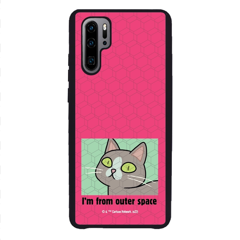 Rick and Morty I'm from...