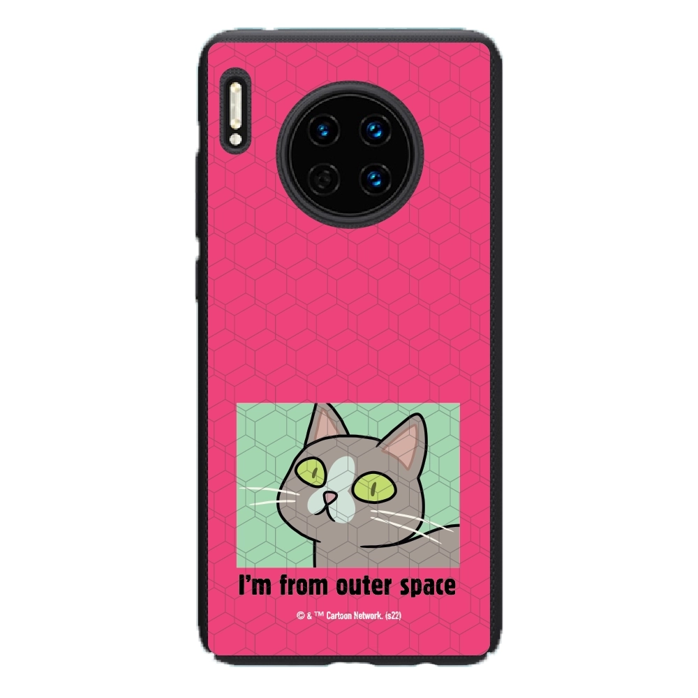 Rick and Morty I'm from...
