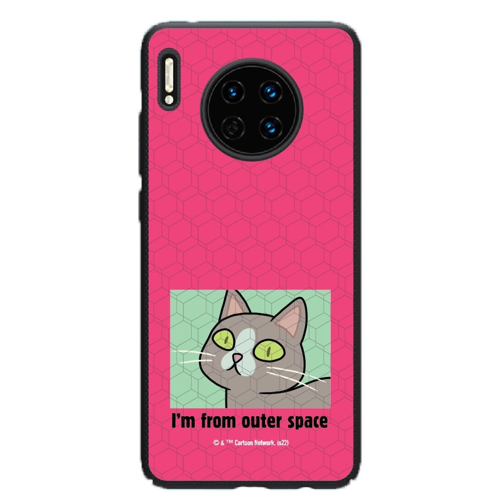 Rick and Morty I'm from...