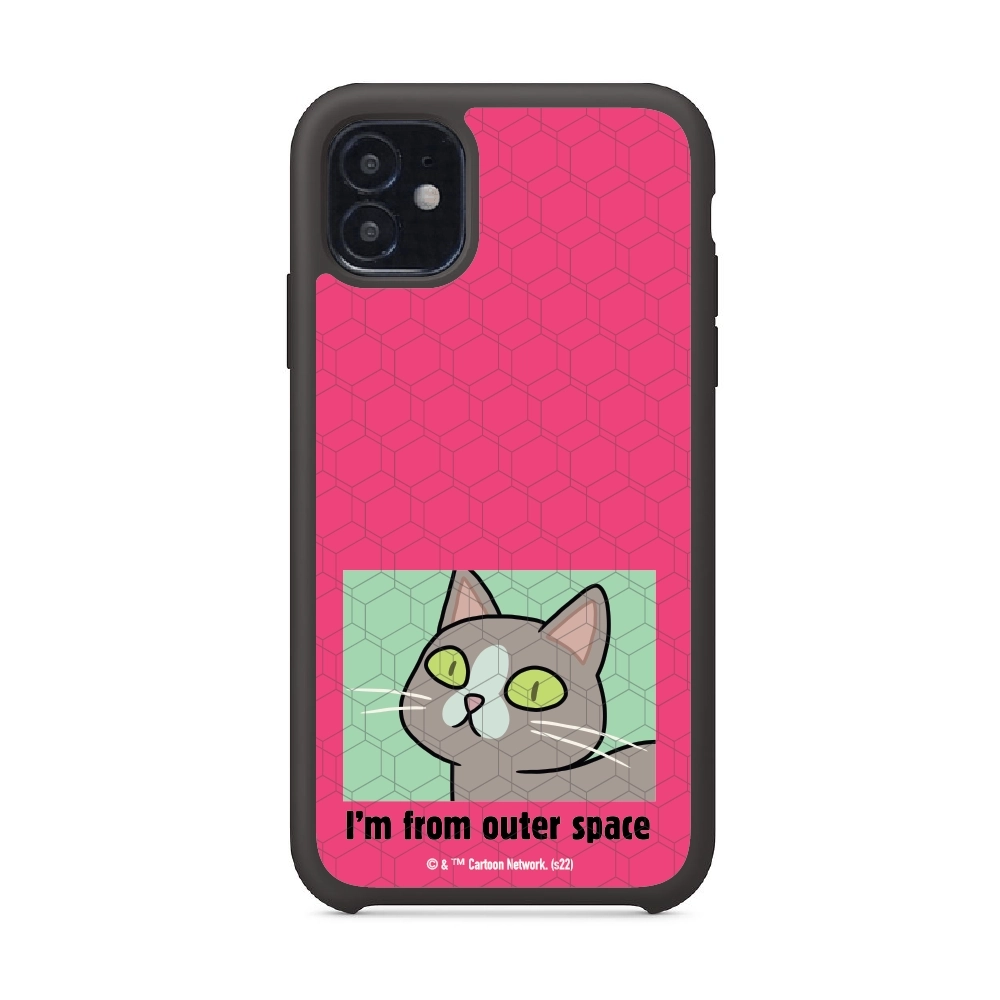 Rick and Morty I'm from...