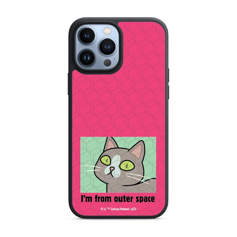 Rick and Morty I'm from...