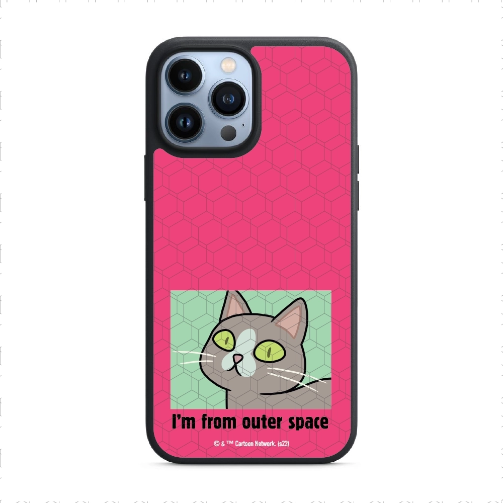 Rick and Morty I'm from...