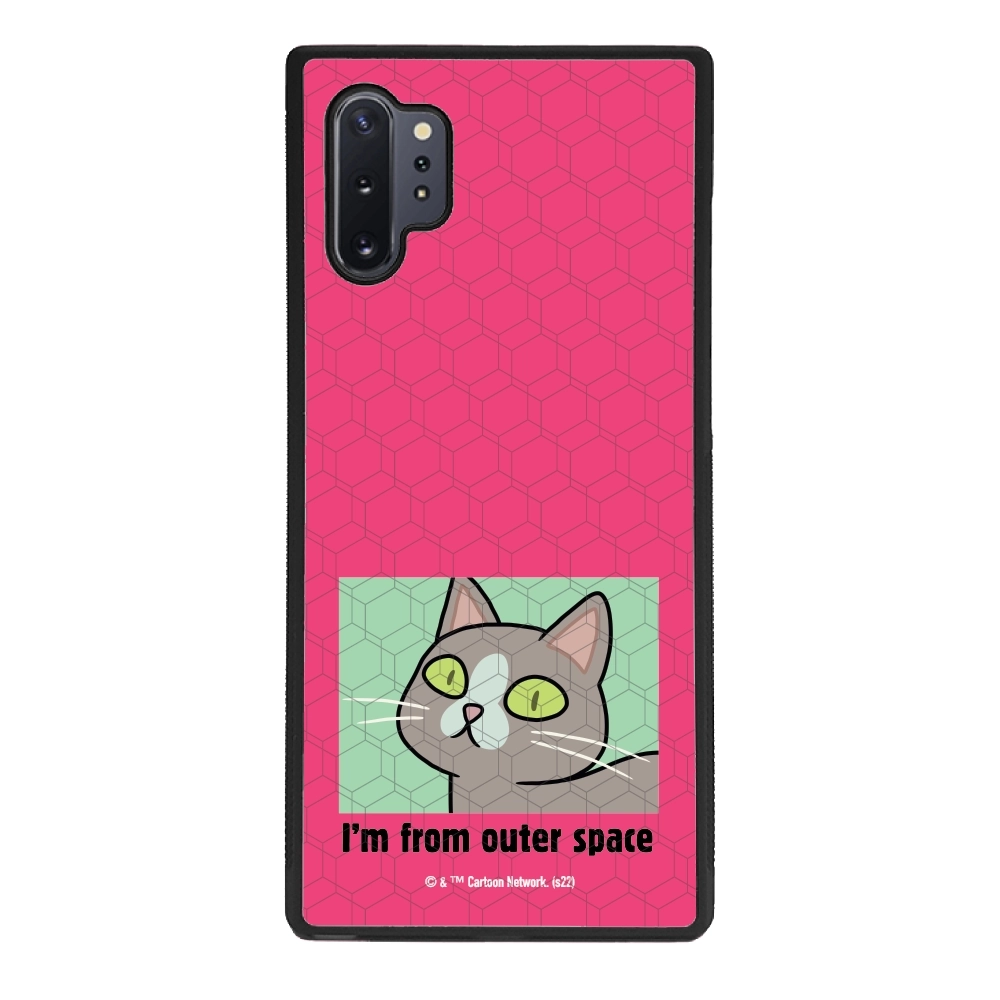 Rick and Morty I'm from...
