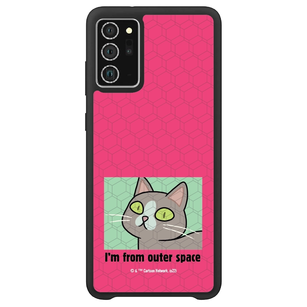 Rick and Morty I'm from...