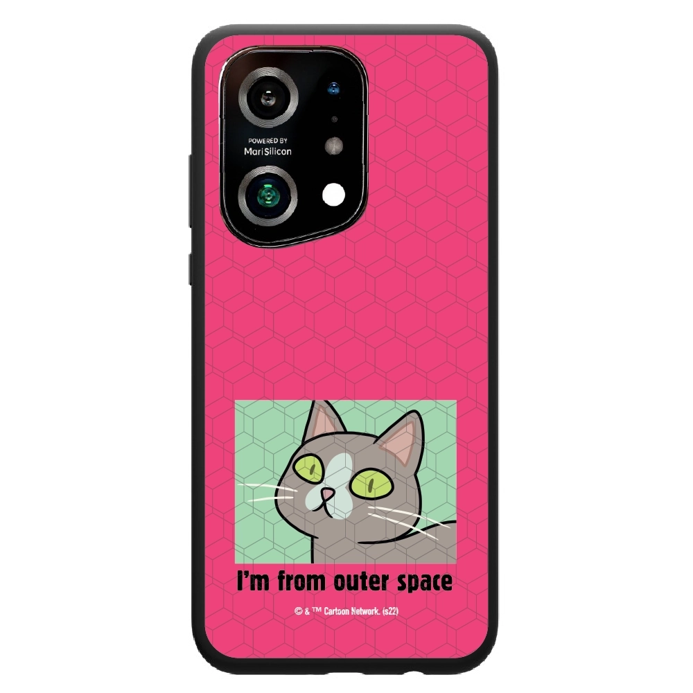 Rick and Morty I'm from...