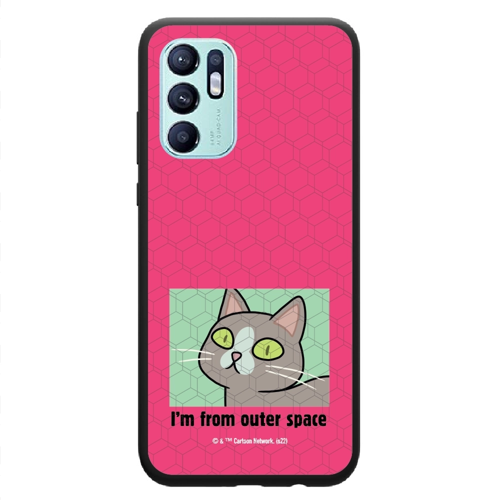 Rick and Morty I'm from...