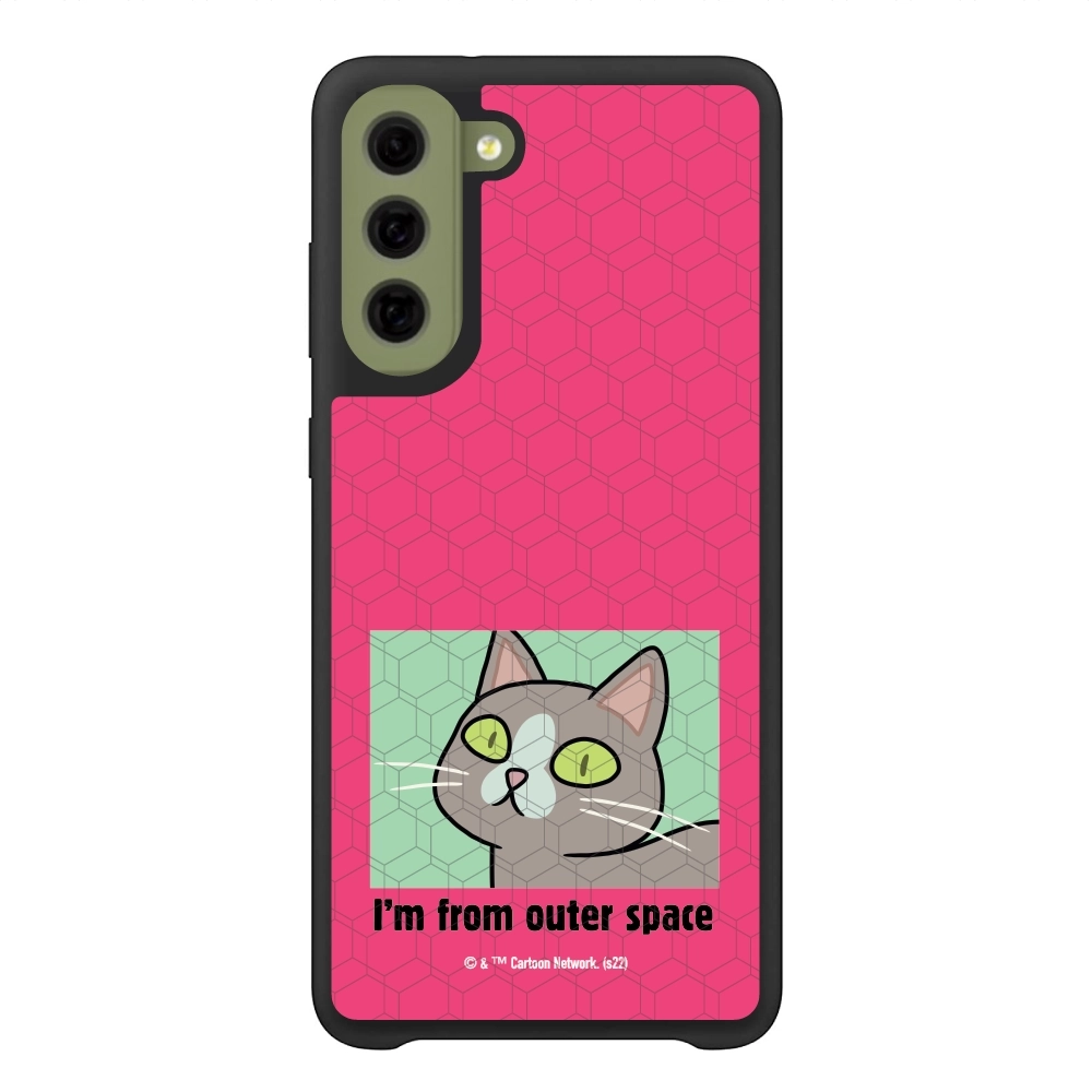 Rick and Morty I'm from...