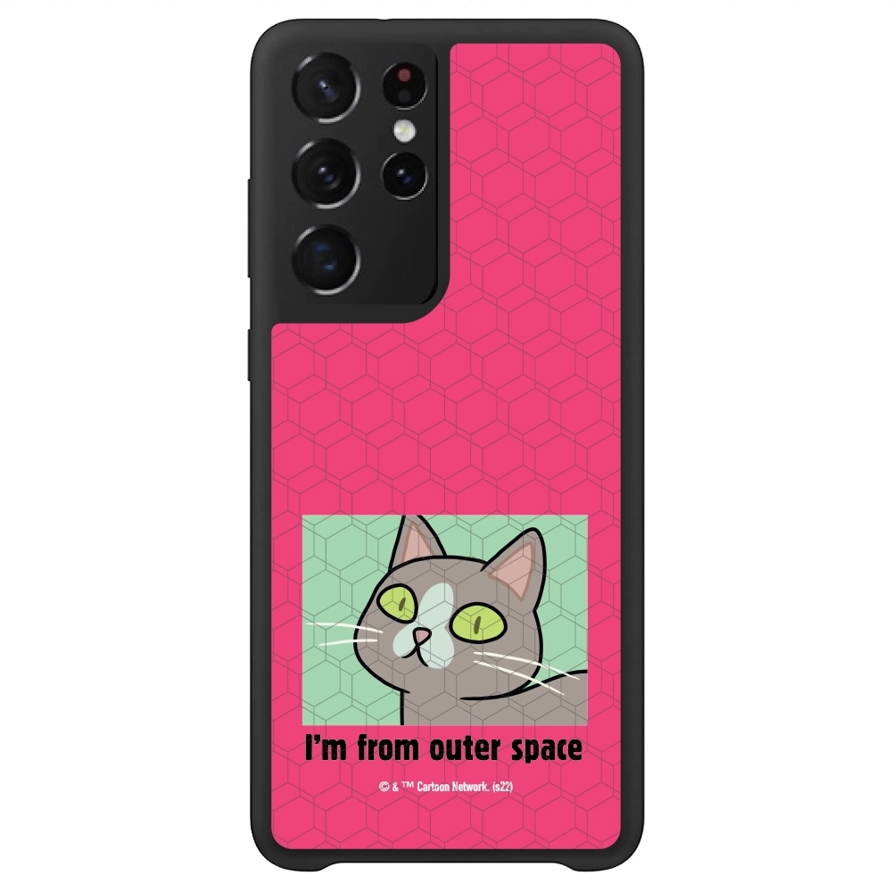 Rick and Morty I'm from...