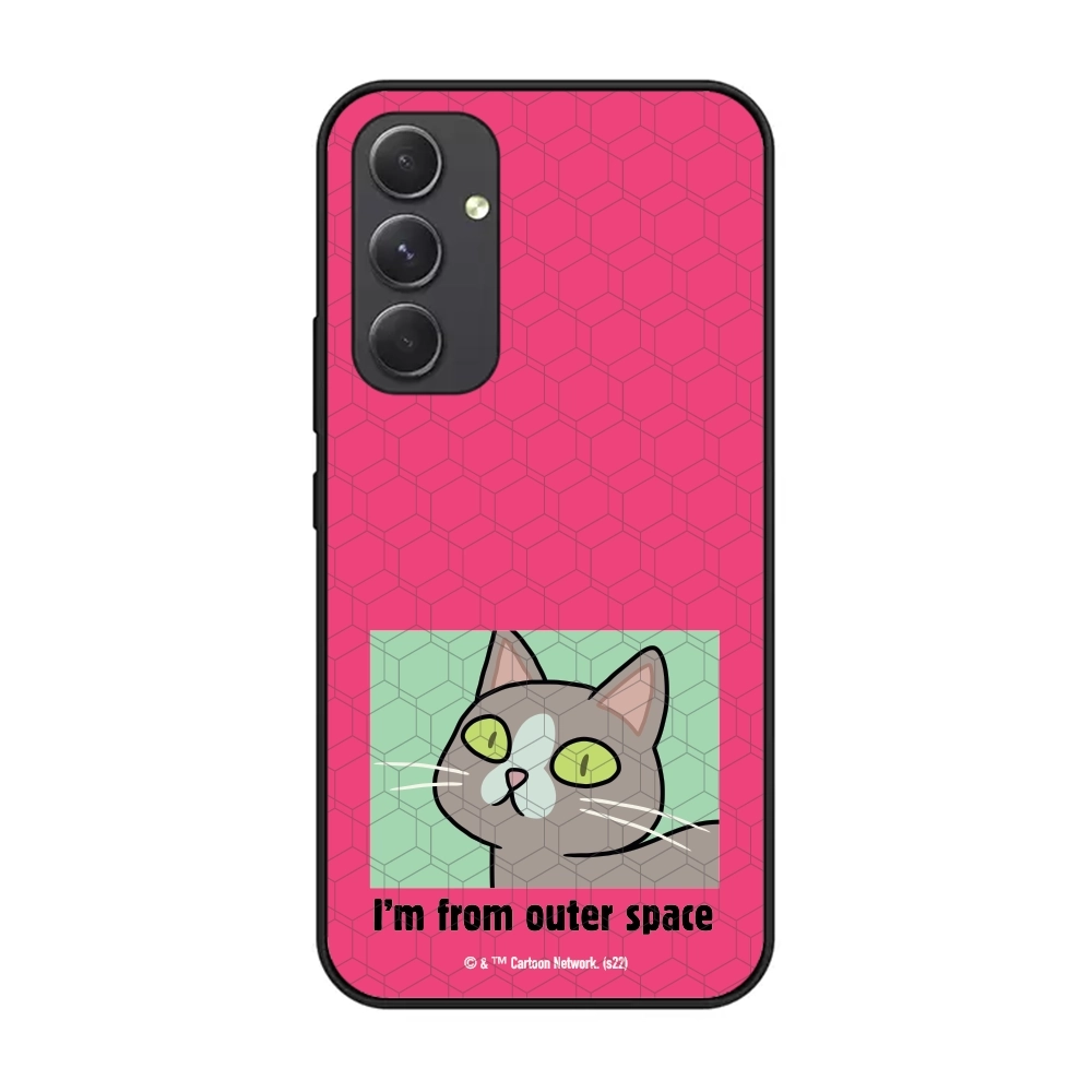 Rick and Morty I'm from...