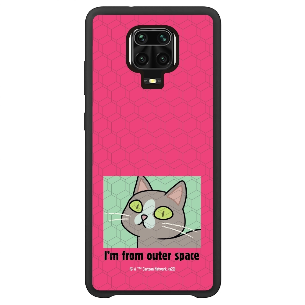 Rick and Morty I'm from...