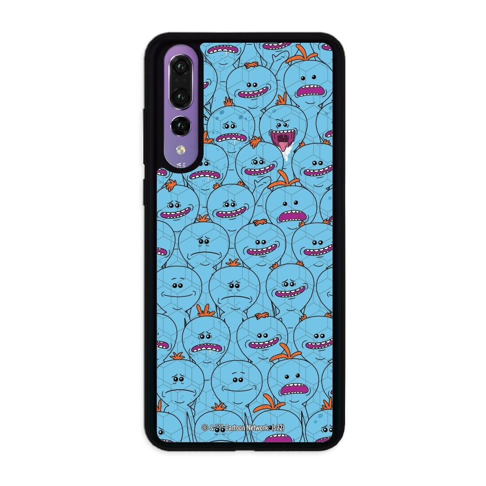 Rick and Morty Multiple mr...