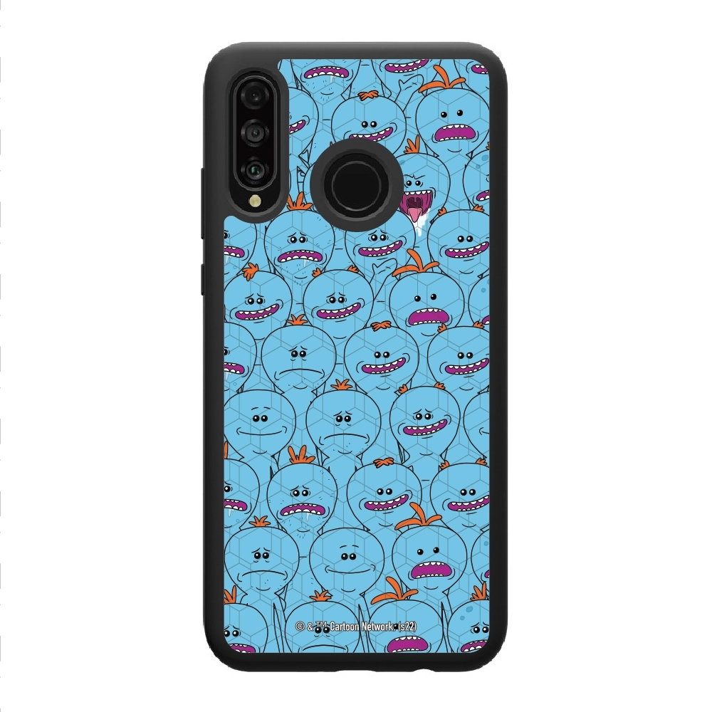 Rick and Morty Multiple mr...