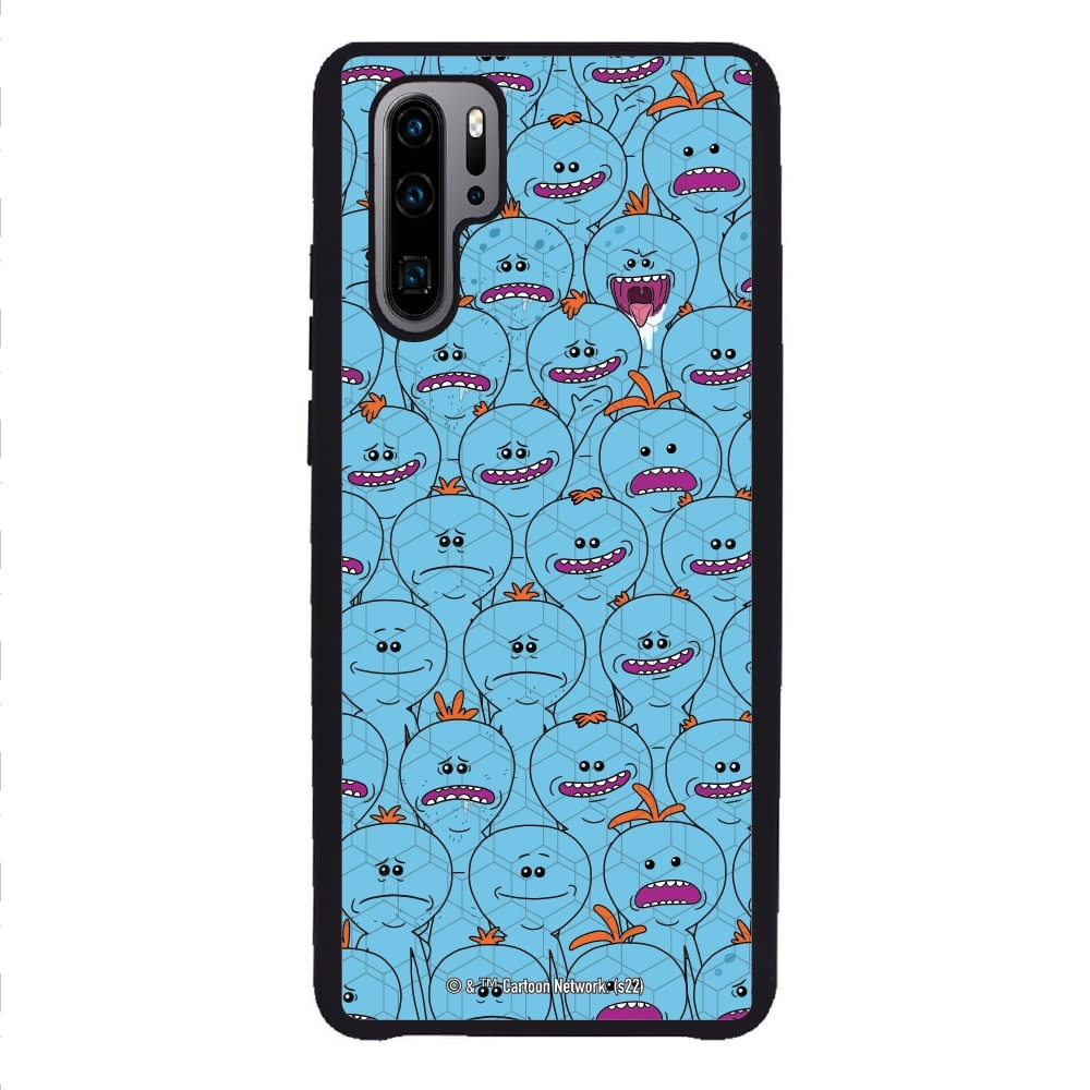 Rick and Morty Multiple mr...
