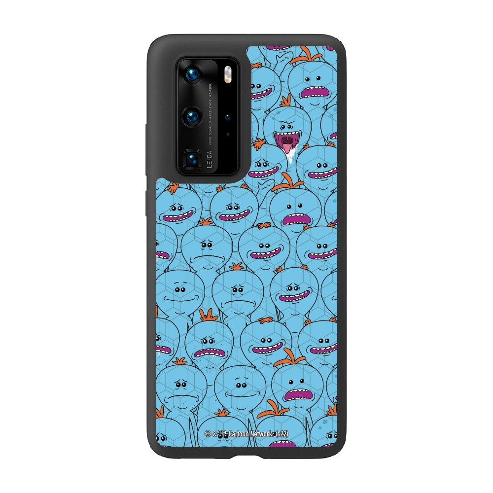 Rick and Morty Multiple mr...