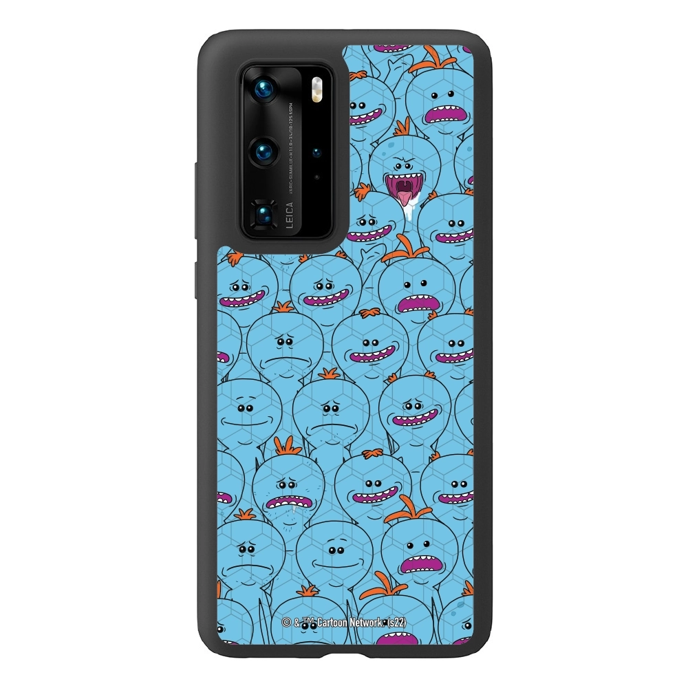 Rick and Morty Multiple mr...