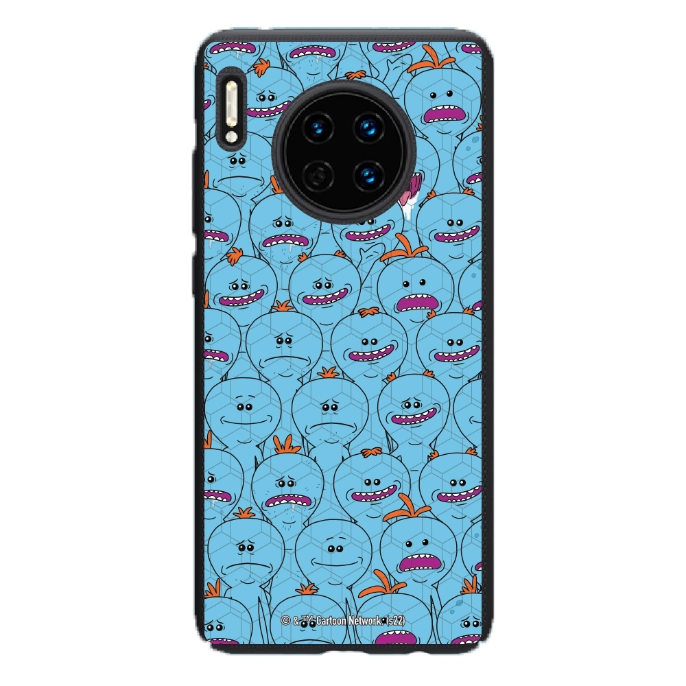 Rick and Morty Multiple mr...