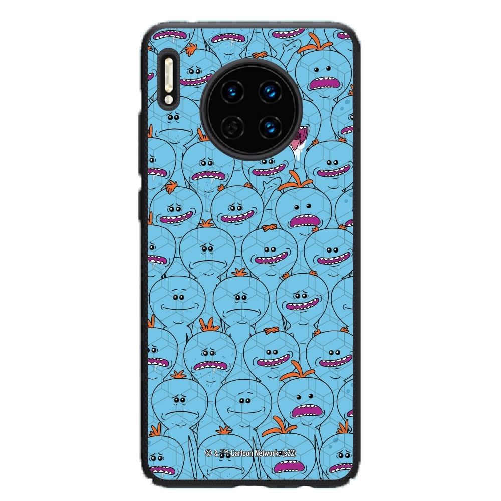 Rick and Morty Multiple mr...