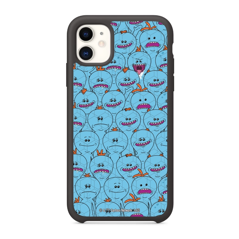 Rick and Morty Multiple mr...