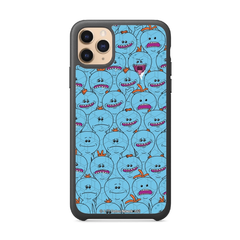 Rick and Morty Multiple mr...