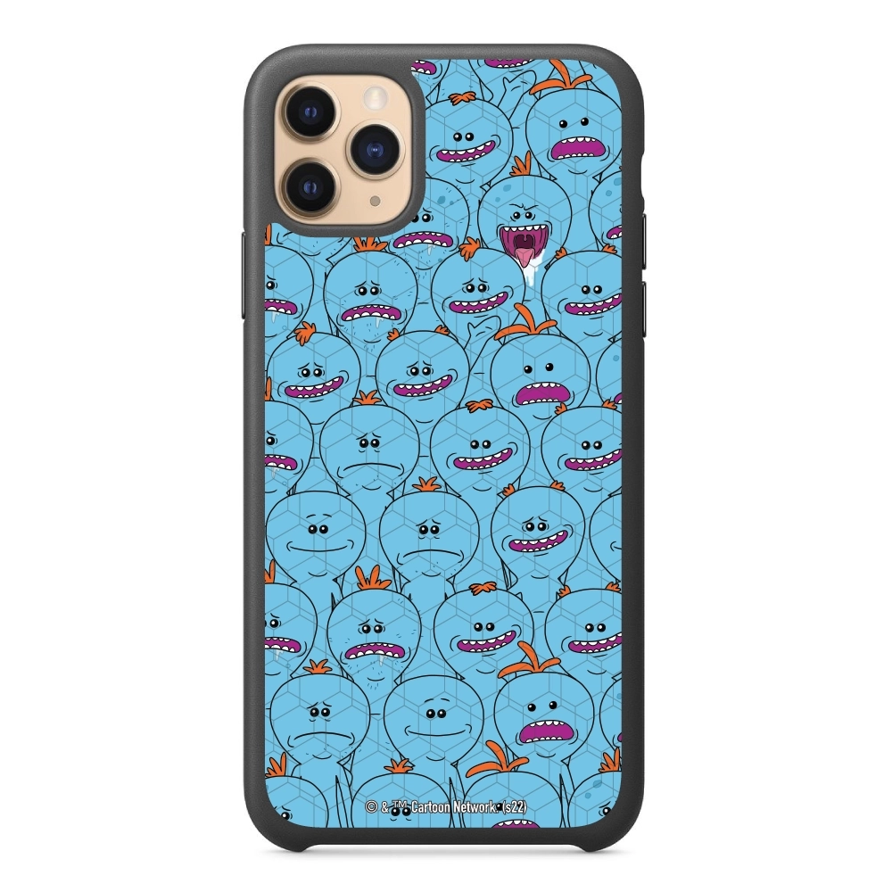Rick and Morty Multiple mr...